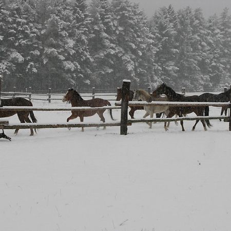 Penzion-Ranc U Trapera Hrabušice エクステリア 写真